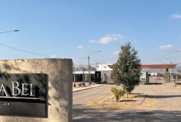 Terrenos en  Luján De Cuyo, Mendoza