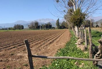 Parcela en  Nogales, Quillota