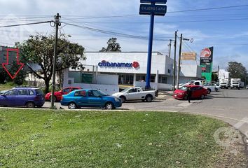 Lote de Terreno en  Banderilla Centro, Banderilla