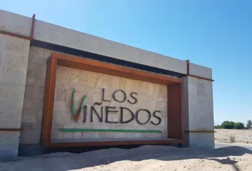 Lote de Terreno en  Los Viñedos, Torreón