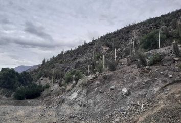 Parcela en  Paiguano, Elqui