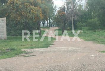 Lote de Terreno en  Ejido Lo De Juárez, Irapuato, Guanajuato