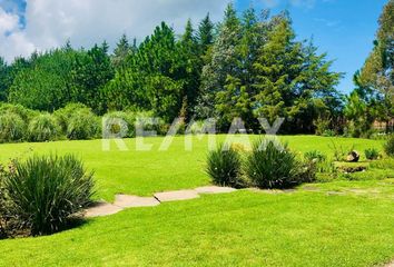 Lote de Terreno en  Tapalpa, Tapalpa, Tapalpa, Jalisco