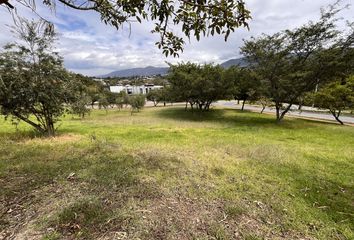 Terreno Comercial en  Cumbayá, Quito