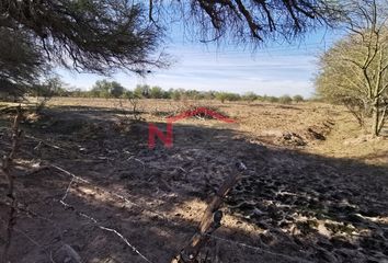 Lote de Terreno en  El Llano, Hermosillo