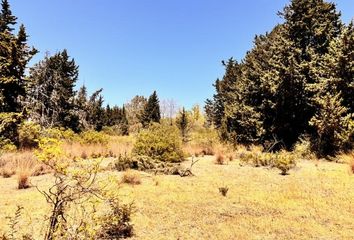 Terreno en  Estepona, Málaga Provincia