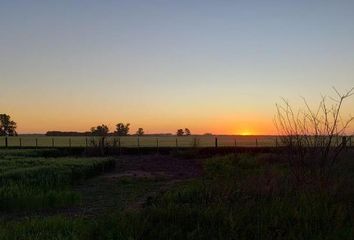 Casa en  Carmen De Areco, Partido De Carmen De Areco