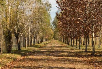 Terrenos en  El Campo - Fincas Exclusivas Cardales, Partido De Campana