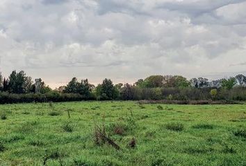 Terrenos en  El Argentino Farm Club, Partido De Luján