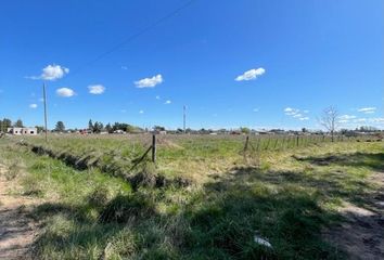 Terrenos en  Tapalqué, Partido De Tapalqué