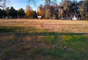 Terrenos en  General Pico, La Pampa