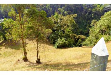 Lote de Terreno en  Centro, Manizales