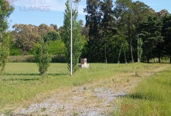 Terrenos en  Torres, Partido De Luján