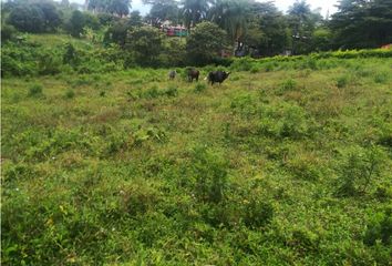 Lote de Terreno en  Cerritos, Pereira