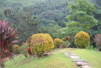 Villa-Quinta en  Buritaca, Santa Marta