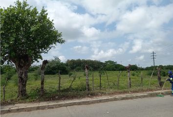 Lote de Terreno en  Cereté, Córdoba