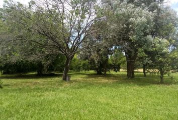 Terrenos en  Villa Elisa, Partido De La Plata