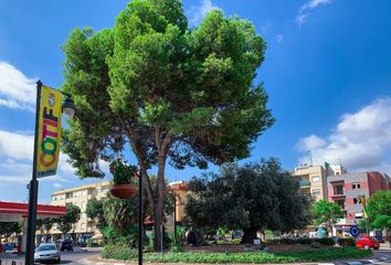 Terreno en  L'alcúdia, Valencia/valència Provincia