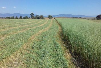 Lote de Terreno en  Vicente Guerrero 1a. Sección, Nicolás Romero