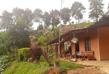 Villa-Quinta en  Tocolá, Dagua