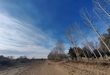 Terrenos en  La Paz, Mendoza