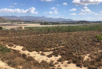 Terreno en  Monforte Del Cid, Alicante Provincia