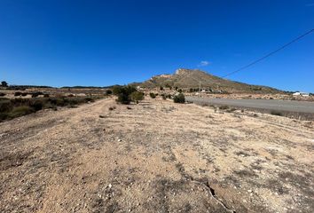 Terreno en  Novelda, Alicante Provincia