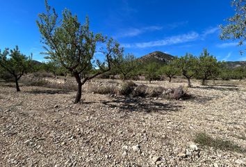 Terreno en  La Romana, Alicante Provincia