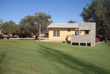 Quinta/Finca en  San Martín, Mendoza