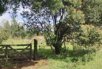 Terrenos en  Santa Paula, General Pueyrredón