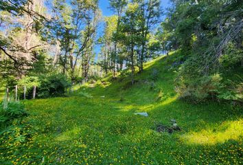 Parcela en  Coyhaique, Coyhaique