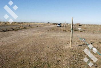 Terrenos en  Área Centro Oeste, Neuquén