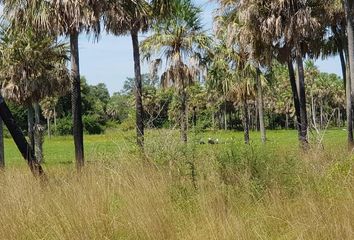 Terrenos en  Estanislao Del Campo, Formosa