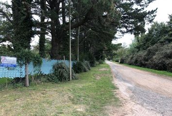 Casa en  Tandil, Partido De Tandil