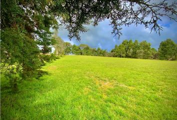 Lote de Terreno en  Envigado, Antioquia