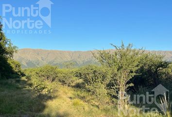 Terrenos en  Merlo, San Luis