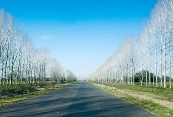 Terrenos en  Carlos Spegazzini, Partido De Ezeiza