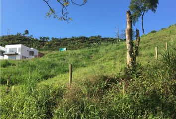 Lote de Terreno en  Palestina, Caldas