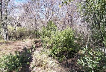 Terrenos en  Lácar, Neuquen