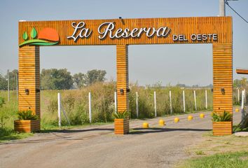 Terrenos en  General Rodríguez, Partido De General Rodríguez