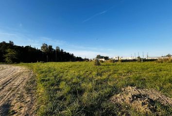 Terrenos en  Lobos, Partido De Lobos