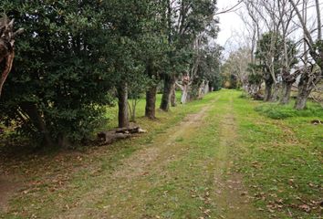 Terrenos en  Manzone, Partido Del Pilar