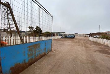 Parcela en  Iquique, Iquique