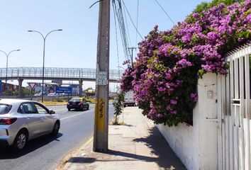 Local en  San Miguel, Provincia De Santiago