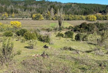 Parcela en  Hualañé, Curicó