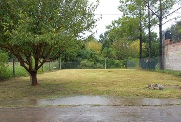 Terrenos en  Ibarlucea, Santa Fe