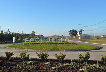 Terrenos en  Alvear, Santa Fe