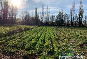 Terrenos en  Confluencia, Neuquen