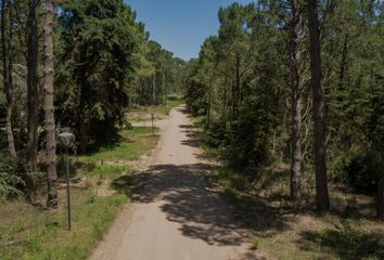 Terrenos en  Otro, Pinamar