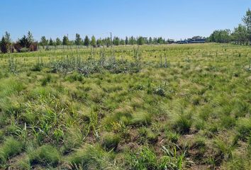 Terrenos en  Speluzzi, La Pampa